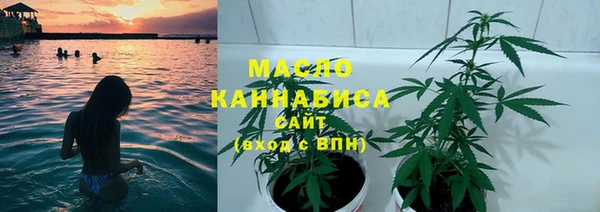 2c-b Козельск