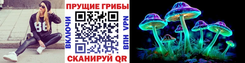 МЕГА ССЫЛКА  Камбарка  Псилоцибиновые грибы Cubensis  где можно купить наркотик 